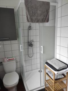 maison julius aeroport tillé 2 a 4 personnes - 6