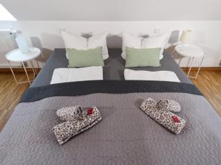 BohnApartments Altstadt-Loft - Wasserbett - gratis Parkplatz - WLAN - Zentrum - 5