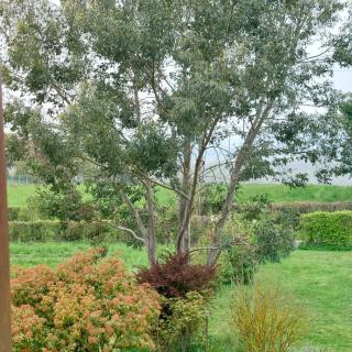 Detente a la campagne - 9
