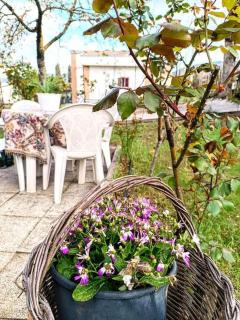 Il giardino delle rose - 7