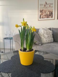 4-Sterne Ferienwohnung Krill - 6