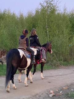 Rancho „Czajone na pigwowcu” - 9