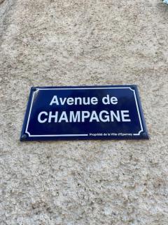 Escale au cœur du Vignoble Champenois - 4