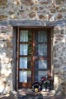 Sport Bikes and Nature - 2
