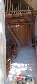 Cabane Salamandre - 7