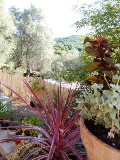 T3 en rez de villa sur les hauteurs d'Ajaccio - 8
