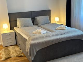 Alpina Appartment Kandersteg - 9