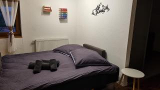 Ferienwohnung Bergfreunde inkl Chiemgaukarte - 9