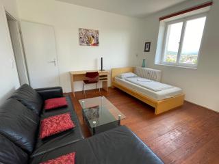 Ferienwohnung Villa Seiz - 2