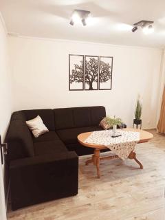 APARTAMENT CENTRUM Międzychód - 3