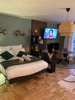 Appart MMETA 2 à 4 personnes à Strasbourg - 0