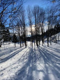le clos grillet - 6