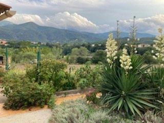 Maison F3 à Céret avec jardin, terrasses et climatisation, proche centre-ville - FR-1-703-96 - 2