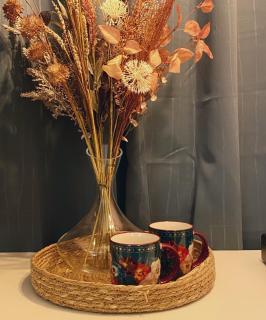 Blush Jungle - Homestay - 2