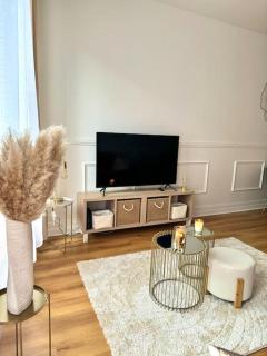 Appartement avec magnifique vue sur la Saône et son balcon - 4