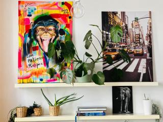 Down-Town 1 Bedroom Flat - 9