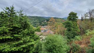 Le Grillon - 7