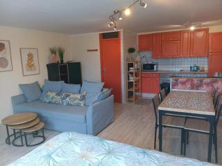 3 Studios - 3 Ambiances - Tout confort - Piscine ouverte - 5