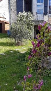 Gite rue Pasteur - 8