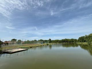 Conacul de pe Lac - 5