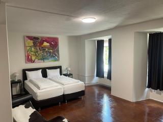 Hotel Swiss Bellevue Aathal - 9