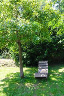 Ferienwohnung Kellerwald Edersee Jesberg - 7