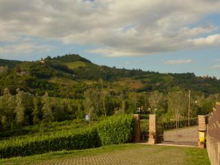 Vigna Dell'Acqua - 6