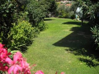 Agrodolce - 9
