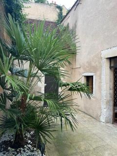 Cosy appartement Hyper centre ville avec cour + Patio - 0