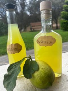Serenella - 3