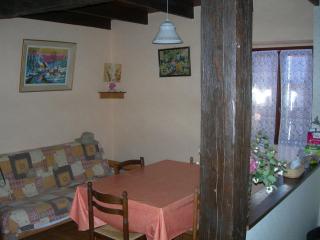 Le paradis des châtaigniers - 1