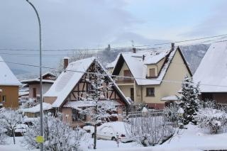 Gîte ''Les Bleuets'' - 4
