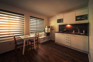GottwaldHaus-Freiberg-Apartment / A - 8