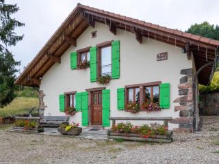 Gîte familial dans les Vosges avec cheminée et jardin, animaux admis - FR-1-583-332 - 0