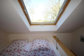 Holthus - 1