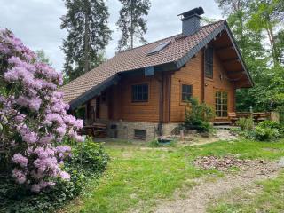 Waldhaus Eichhörnchen - 5