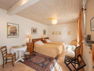 Chambres spacieuses avec terrasse, nature et calme à Saint-Benoît-sur-Loire, animaux acceptés - FR-1-590-332 - 4