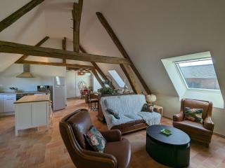 Gîte en forêt avec jardin, terrasse et parking près de la Loire - FR-1-590-530 - 9