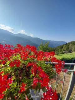 Chalet Dolomiti - 8