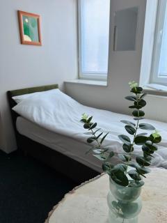 Green B&B - 6