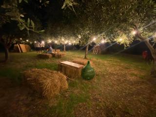 Masseria Frangiosa - 2
