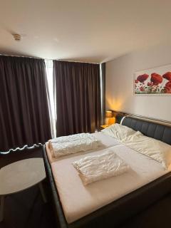 Hotel East End Frauenfeld - 9