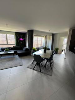 Modern apartment - 8
