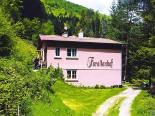 Spacious holiday home on Forellenhof, Zorn Valley - 0