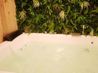 HOTEL DU BERRY - Loveroom avec Sauna, Hammam, Jacuzzi privatifs - 2