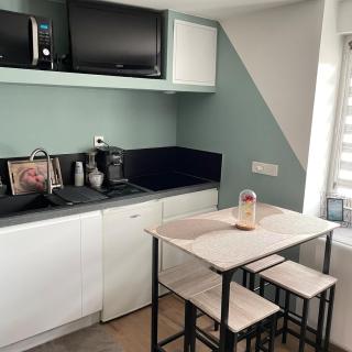 Sublime studio en face de la Moselle - 5