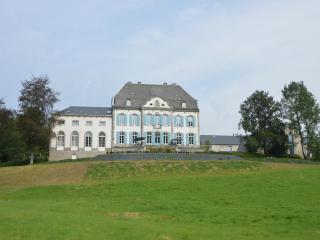Luxurious castle in Marchin with infrared sauna - 5
