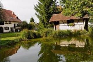 Gutshof Ottenweier Hof - 8