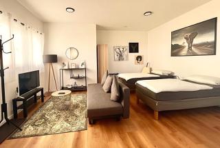 Studio Apartment Albblick - 9