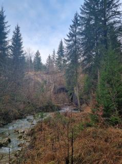 Appartement neuf et confortable dans le Haut Jura - 2